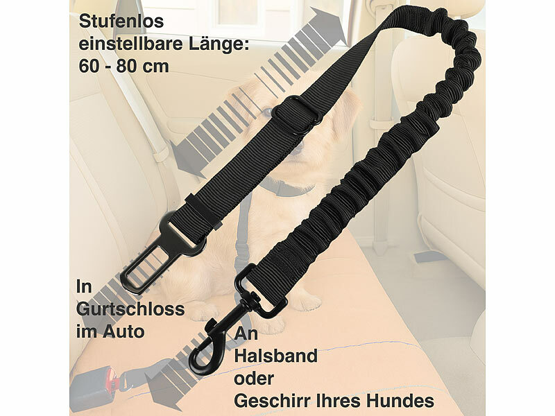 ; Strategie- und Intelligenzspiele für Hunde Strategie- und Intelligenzspiele für Hunde Strategie- und Intelligenzspiele für Hunde