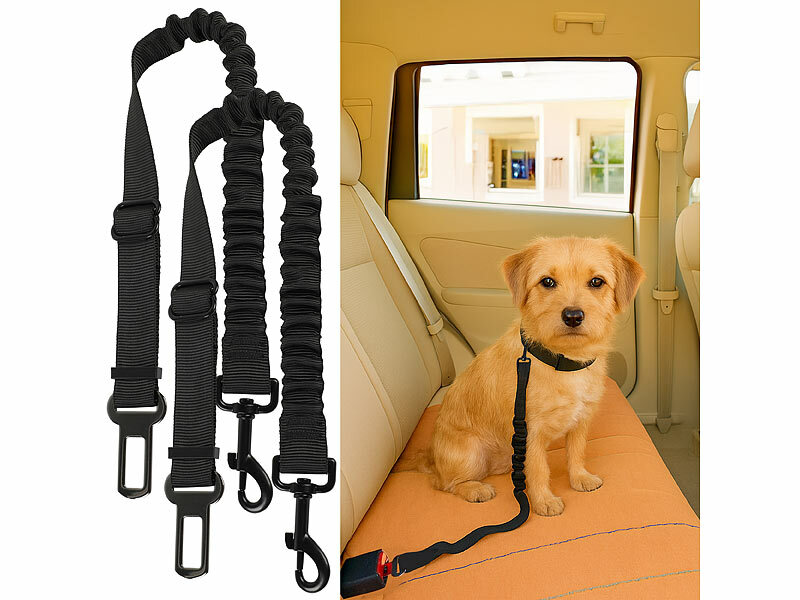 ; Strategie- und Intelligenzspiele für Hunde Strategie- und Intelligenzspiele für Hunde Strategie- und Intelligenzspiele für Hunde