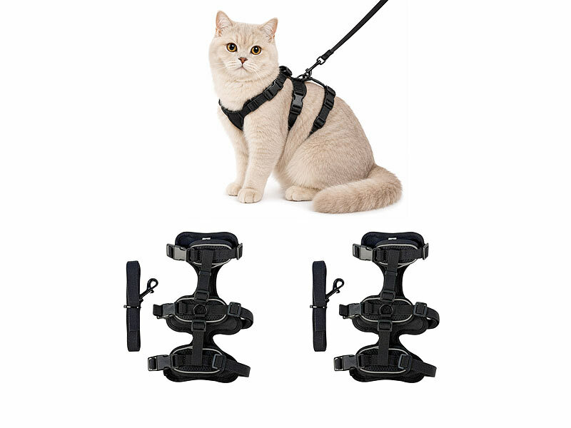 ; Katzengarnituren, Katzen-GarniturenTrainings gehen Harnesse outdoor Haustiere Kätzchen Kitten Katzen ausbruchsichereSicherheit Hundeleinen Hundegeschirre weiche gepolsterte PolsterungenKatzenleinenKatzengeschirreKatzenwestenWelpen Karabiner Gurte Reisen Urlaube bequeme soft Spaziergänge verstellbareWelpengeschirreWelpenwestenSicherheitsgeschirreFührleinenBrustgeschirrestufenlose Freilauf Auslauf Chihuahuas Doppelbauchgurte kleine fluchtsicherecats Brust Brustgurte Westen einstellbare Schnallen Klick-Schnallen Katzengarnituren, Katzen-GarniturenTrainings gehen Harnesse outdoor Haustiere Kätzchen Kitten Katzen ausbruchsichereSicherheit Hundeleinen Hundegeschirre weiche gepolsterte PolsterungenKatzenleinenKatzengeschirreKatzenwestenWelpen Karabiner Gurte Reisen Urlaube bequeme soft Spaziergänge verstellbareWelpengeschirreWelpenwestenSicherheitsgeschirreFührleinenBrustgeschirrestufenlose Freilauf Auslauf Chihuahuas Doppelbauchgurte kleine fluchtsicherecats Brust Brustgurte Westen einstellbare Schnallen Klick-Schnallen Katzengarnituren, Katzen-GarniturenTrainings gehen Harnesse outdoor Haustiere Kätzchen Kitten Katzen ausbruchsichereSicherheit Hundeleinen Hundegeschirre weiche gepolsterte PolsterungenKatzenleinenKatzengeschirreKatzenwestenWelpen Karabiner Gurte Reisen Urlaube bequeme soft Spaziergänge verstellbareWelpengeschirreWelpenwestenSicherheitsgeschirreFührleinenBrustgeschirrestufenlose Freilauf Auslauf Chihuahuas Doppelbauchgurte kleine fluchtsicherecats Brust Brustgurte Westen einstellbare Schnallen Klick-Schnallen 