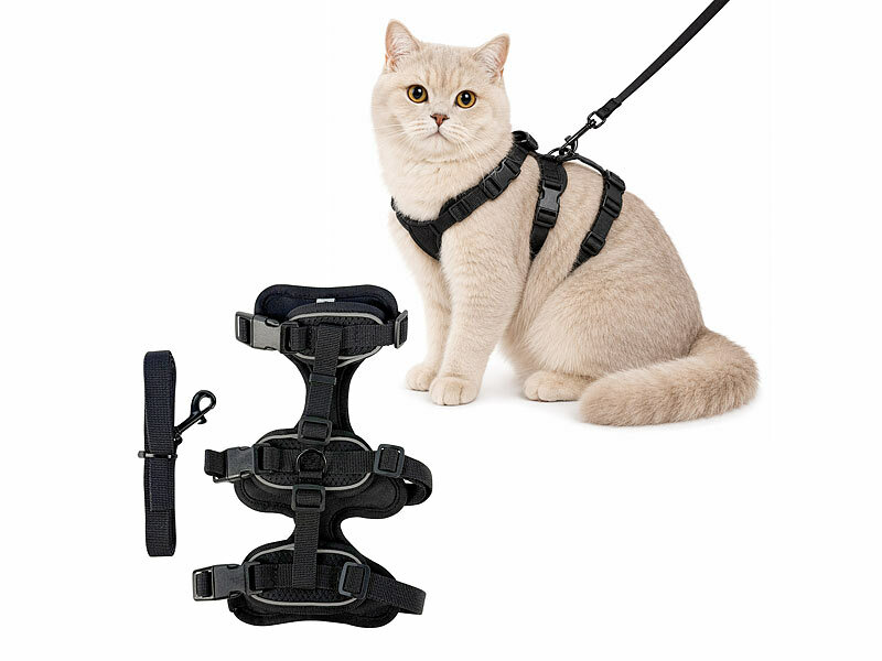 ; Katzengarnituren, Katzen-GarniturenTrainings gehen Harnesse outdoor Haustiere Kätzchen Kitten Katzen ausbruchsichereSicherheit Hundeleinen Hundegeschirre weiche gepolsterte PolsterungenKatzenleinenKatzengeschirreKatzenwestenWelpen Karabiner Gurte Reisen Urlaube bequeme soft Spaziergänge verstellbareWelpengeschirreWelpenwestenSicherheitsgeschirreFührleinenBrustgeschirrestufenlose Freilauf Auslauf Chihuahuas Doppelbauchgurte kleine fluchtsicherecats Brust Brustgurte Westen einstellbare Schnallen Klick-Schnallen Katzengarnituren, Katzen-GarniturenTrainings gehen Harnesse outdoor Haustiere Kätzchen Kitten Katzen ausbruchsichereSicherheit Hundeleinen Hundegeschirre weiche gepolsterte PolsterungenKatzenleinenKatzengeschirreKatzenwestenWelpen Karabiner Gurte Reisen Urlaube bequeme soft Spaziergänge verstellbareWelpengeschirreWelpenwestenSicherheitsgeschirreFührleinenBrustgeschirrestufenlose Freilauf Auslauf Chihuahuas Doppelbauchgurte kleine fluchtsicherecats Brust Brustgurte Westen einstellbare Schnallen Klick-Schnallen Katzengarnituren, Katzen-GarniturenTrainings gehen Harnesse outdoor Haustiere Kätzchen Kitten Katzen ausbruchsichereSicherheit Hundeleinen Hundegeschirre weiche gepolsterte PolsterungenKatzenleinenKatzengeschirreKatzenwestenWelpen Karabiner Gurte Reisen Urlaube bequeme soft Spaziergänge verstellbareWelpengeschirreWelpenwestenSicherheitsgeschirreFührleinenBrustgeschirrestufenlose Freilauf Auslauf Chihuahuas Doppelbauchgurte kleine fluchtsicherecats Brust Brustgurte Westen einstellbare Schnallen Klick-Schnallen 