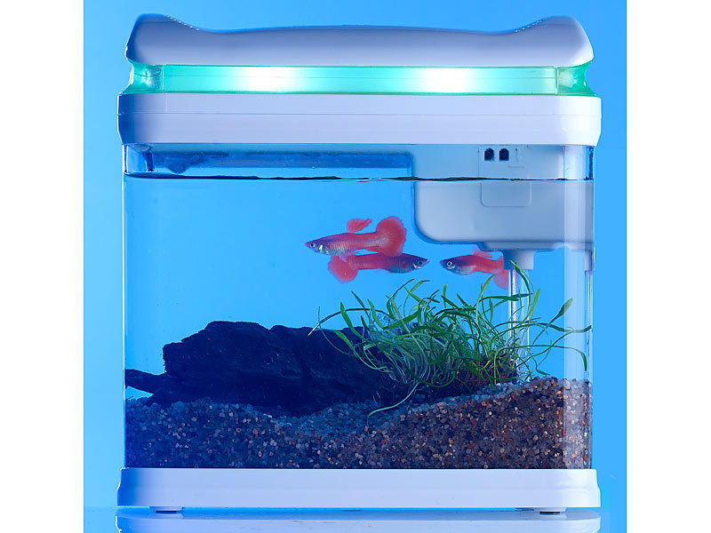 ; Aquarien-Komplettsets, Trainingspads für Welpen 
