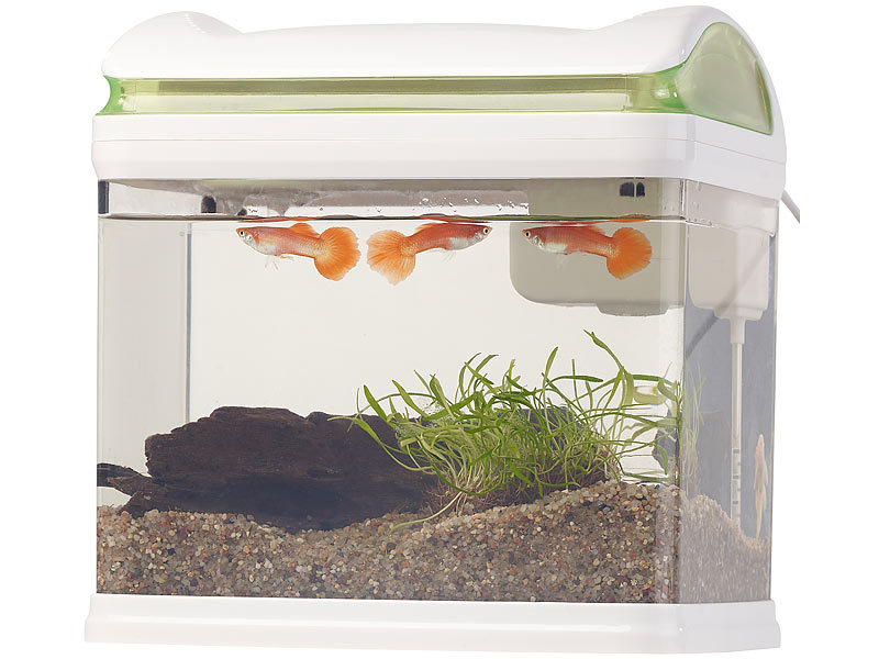 ; Aquarien-Komplettsets, Trainingspads für Welpen 