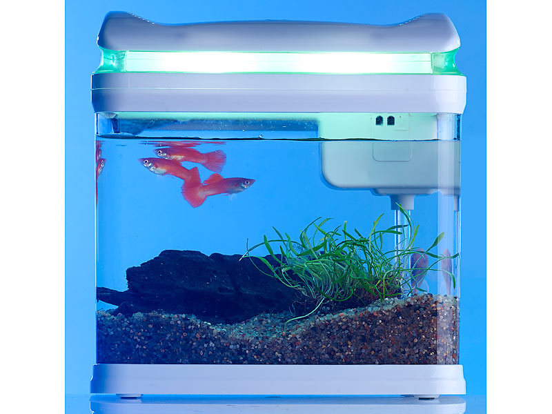; Aquarien-Komplettsets, Trainingspads für Welpen 