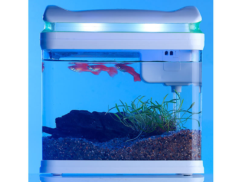 ; Aquarien-Komplettsets, Trainingspads für Welpen 