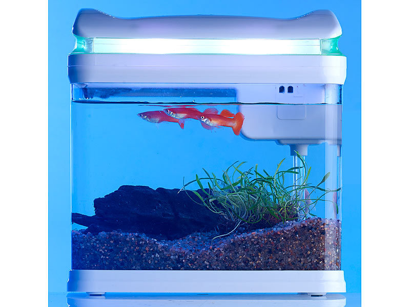 ; Aquarien-Komplettsets, Trainingspads für Welpen 