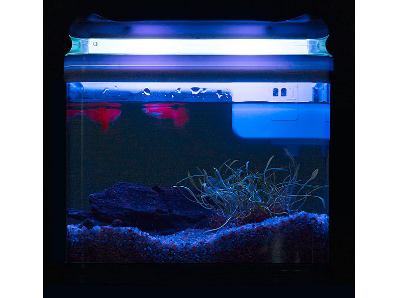 ; Aquarien-Komplettsets, Trainingspads für Welpen 