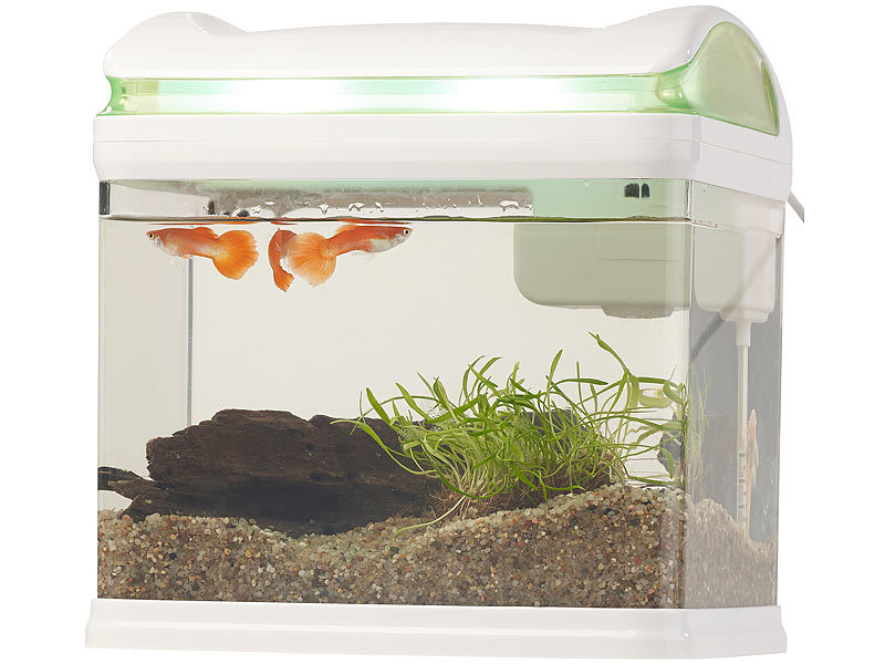 ; Aquarien-Komplettsets, Trainingspads für Welpen 
