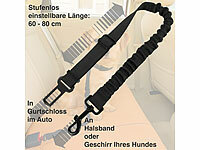 ; Strategie- und Intelligenzspiele für Hunde Strategie- und Intelligenzspiele für Hunde Strategie- und Intelligenzspiele für Hunde