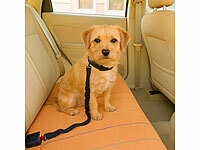 ; Strategie- und Intelligenzspiele für Hunde Strategie- und Intelligenzspiele für Hunde Strategie- und Intelligenzspiele für Hunde