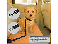 ; Strategie- und Intelligenzspiele für Hunde Strategie- und Intelligenzspiele für Hunde Strategie- und Intelligenzspiele für Hunde