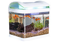 Sweetypet Transport-Fischbecken mit Filter, LED-Beleuchtung und USB, 3,3 Liter