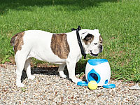 ; Trainingspads für Welpen, Faltbare HundepoolsTransporttaschen für Haustiere 