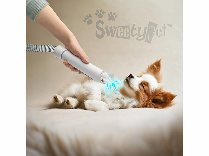 ; Schermaschinen Hund, Schermaschinen KatzeSchermaschinen Hund AkkuHundeschermaschinenHunde Polsterreinigung Staubsaugerbürstenköpfe Haarschneider Filter BürstenHunde-SchermaschinenHunde Schermaschinen AkkuSchermaschinen für HundeHunde Scheren SetsHunde Haar TrimmerTierbesitzer Haustierhalter Hundefreunde Katzenfreunde Hundehalter KatzenhalterWerkzeuge Staubsaugerdüsen Düsen Brushes Fellbürsten Hundebürsten KatzenbürstenAkkus Fellpflege Scherköpfe Rasierer Haarschneidemaschinen Katzen TrockensaugerHundehaarschneiderHundeföhneHundeföne TierföneHundeschermaschinen mit StaubsaugernHundschermaschinenHundescheren Zubehör Haustiere Tiere Haustierpflegesets Tierhaare Rasierer HaareHaarentfernung Pets Tierhaarbürsten Haustierhaare Katzenhaare ReinigerTierhaartrockner-Kits multifunktionale Hundekosmetik Haustier-Haare Haarpflegebeutellose Turbobürsten beutellos Tierhaardüsen Haartrimmer HundepflegesetsTierkämme Unterfellkämme Fellpflegebürsten Tierbedarf Hundekämme Föhn-Düsenelektrische Hundepflege Fugendüsen Pfotentrimmer EnthaarenHundehaarscheren Heimtierbedarfe Trimmmesser Fellkämme Hundescheren schneidenkabellose kabellos Aufsteckkämme Pfoten elektrisch Langhaar LanghaarkatzenHaarfänger Hundehaare Multi-Function Haartrockner schnurlose wiederaufladbareHundefriseure Hundesalons Fellbaby Akkubetrieb akkubetrieben Lithium-Ionen Li-IonHaustierschermaschinenHaustier-SchermaschinenFusseldüsen Saugkräfte Haustier-Pflegewerkzeuge Haustierbedarfe HaustierpflegezubehöreTierhaarschneiderHaustier-Pflege-Sets Tierpflegewerkzeuge Flüsterföne Trockner tragbare BlowerStaubsauger TierhaarbürstenTierhaarschneider AkkuEnthaarung Haustierbürsten Knotenbürsten Entfilzen Unterfellbürsten VacuumHaarbürsten Entwirrungskämme Tierhaarkämme Entfernung SpezialbürstenPolster Haarentferner Fellentferner Pflegesets AngebottierhaarschneiderTurbobürste Tierhaarentferner Bürstenaufsätze Bürstenaufsätze Tierhaarentferner-BürstenaufsätzeTierhaar-Bürsten Staubsaugerzubehör Polsterdüsen Turbodüsen Reinigung SaugtechnologieTierbaby-Pflege Föhn-Zubehör Kurzhaar Pflegebürsten Tierpflegebürsten TierbürstenHaustiertrocknerHaustierpflege-StaubsaugerPflegewerkzeuge Tierpflegewerkzeuge Haustierpflegemaschinen AufsätzeHaustierscheren praktische Tierhaarstaub Fassungsvermögen Staubbecher AuffangbehälterFellscheren Scheren Kämme Staubsaugersets Kammaufsätze Haustierpflege PflegewerkzeugeTier-Düsen Staubbehälter Handsauger Akku-Handstaubsauger HandstaubsaugerStaubsauger Tierhaare beutellosTierhaarschneidemaschinenTierhaarentfernerTierhaar-SchneidemaschinenTierhaar Staubsauger beutellosTierschermaschinenTierpflege-FöhnPflege Grooming Trimm Kleintiere elektrische wiederaufladbar AkkustaubsaugerAnimals Fell Tierpflege Tierhaartrockner-Kits Fänger Entferner Kammdüsen HaarföhnsAkku-Schermaschinen Schermaschinen Hund, Schermaschinen KatzeSchermaschinen Hund AkkuHundeschermaschinenHunde Polsterreinigung Staubsaugerbürstenköpfe Haarschneider Filter BürstenHunde-SchermaschinenHunde Schermaschinen AkkuSchermaschinen für HundeHunde Scheren SetsHunde Haar TrimmerTierbesitzer Haustierhalter Hundefreunde Katzenfreunde Hundehalter KatzenhalterWerkzeuge Staubsaugerdüsen Düsen Brushes Fellbürsten Hundebürsten KatzenbürstenAkkus Fellpflege Scherköpfe Rasierer Haarschneidemaschinen Katzen TrockensaugerHundehaarschneiderHundeföhneHundeföne TierföneHundeschermaschinen mit StaubsaugernHundschermaschinenHundescheren Zubehör Haustiere Tiere Haustierpflegesets Tierhaare Rasierer HaareHaarentfernung Pets Tierhaarbürsten Haustierhaare Katzenhaare ReinigerTierhaartrockner-Kits multifunktionale Hundekosmetik Haustier-Haare Haarpflegebeutellose Turbobürsten beutellos Tierhaardüsen Haartrimmer HundepflegesetsTierkämme Unterfellkämme Fellpflegebürsten Tierbedarf Hundekämme Föhn-Düsenelektrische Hundepflege Fugendüsen Pfotentrimmer EnthaarenHundehaarscheren Heimtierbedarfe Trimmmesser Fellkämme Hundescheren schneidenkabellose kabellos Aufsteckkämme Pfoten elektrisch Langhaar LanghaarkatzenHaarfänger Hundehaare Multi-Function Haartrockner schnurlose wiederaufladbareHundefriseure Hundesalons Fellbaby Akkubetrieb akkubetrieben Lithium-Ionen Li-IonHaustierschermaschinenHaustier-SchermaschinenFusseldüsen Saugkräfte Haustier-Pflegewerkzeuge Haustierbedarfe HaustierpflegezubehöreTierhaarschneiderHaustier-Pflege-Sets Tierpflegewerkzeuge Flüsterföne Trockner tragbare BlowerStaubsauger TierhaarbürstenTierhaarschneider AkkuEnthaarung Haustierbürsten Knotenbürsten Entfilzen Unterfellbürsten VacuumHaarbürsten Entwirrungskämme Tierhaarkämme Entfernung SpezialbürstenPolster Haarentferner Fellentferner Pflegesets AngebottierhaarschneiderTurbobürste Tierhaarentferner Bürstenaufsätze Bürstenaufsätze Tierhaarentferner-BürstenaufsätzeTierhaar-Bürsten Staubsaugerzubehör Polsterdüsen Turbodüsen Reinigung SaugtechnologieTierbaby-Pflege Föhn-Zubehör Kurzhaar Pflegebürsten Tierpflegebürsten TierbürstenHaustiertrocknerHaustierpflege-StaubsaugerPflegewerkzeuge Tierpflegewerkzeuge Haustierpflegemaschinen AufsätzeHaustierscheren praktische Tierhaarstaub Fassungsvermögen Staubbecher AuffangbehälterFellscheren Scheren Kämme Staubsaugersets Kammaufsätze Haustierpflege PflegewerkzeugeTier-Düsen Staubbehälter Handsauger Akku-Handstaubsauger HandstaubsaugerStaubsauger Tierhaare beutellosTierhaarschneidemaschinenTierhaarentfernerTierhaar-SchneidemaschinenTierhaar Staubsauger beutellosTierschermaschinenTierpflege-FöhnPflege Grooming Trimm Kleintiere elektrische wiederaufladbar AkkustaubsaugerAnimals Fell Tierpflege Tierhaartrockner-Kits Fänger Entferner Kammdüsen HaarföhnsAkku-Schermaschinen Schermaschinen Hund, Schermaschinen KatzeSchermaschinen Hund AkkuHundeschermaschinenHunde Polsterreinigung Staubsaugerbürstenköpfe Haarschneider Filter BürstenHunde-SchermaschinenHunde Schermaschinen AkkuSchermaschinen für HundeHunde Scheren SetsHunde Haar TrimmerTierbesitzer Haustierhalter Hundefreunde Katzenfreunde Hundehalter KatzenhalterWerkzeuge Staubsaugerdüsen Düsen Brushes Fellbürsten Hundebürsten KatzenbürstenAkkus Fellpflege Scherköpfe Rasierer Haarschneidemaschinen Katzen TrockensaugerHundehaarschneiderHundeföhneHundeföne TierföneHundeschermaschinen mit StaubsaugernHundschermaschinenHundescheren Zubehör Haustiere Tiere Haustierpflegesets Tierhaare Rasierer HaareHaarentfernung Pets Tierhaarbürsten Haustierhaare Katzenhaare ReinigerTierhaartrockner-Kits multifunktionale Hundekosmetik Haustier-Haare Haarpflegebeutellose Turbobürsten beutellos Tierhaardüsen Haartrimmer HundepflegesetsTierkämme Unterfellkämme Fellpflegebürsten Tierbedarf Hundekämme Föhn-Düsenelektrische Hundepflege Fugendüsen Pfotentrimmer EnthaarenHundehaarscheren Heimtierbedarfe Trimmmesser Fellkämme Hundescheren schneidenkabellose kabellos Aufsteckkämme Pfoten elektrisch Langhaar LanghaarkatzenHaarfänger Hundehaare Multi-Function Haartrockner schnurlose wiederaufladbareHundefriseure Hundesalons Fellbaby Akkubetrieb akkubetrieben Lithium-Ionen Li-IonHaustierschermaschinenHaustier-SchermaschinenFusseldüsen Saugkräfte Haustier-Pflegewerkzeuge Haustierbedarfe HaustierpflegezubehöreTierhaarschneiderHaustier-Pflege-Sets Tierpflegewerkzeuge Flüsterföne Trockner tragbare BlowerStaubsauger TierhaarbürstenTierhaarschneider AkkuEnthaarung Haustierbürsten Knotenbürsten Entfilzen Unterfellbürsten VacuumHaarbürsten Entwirrungskämme Tierhaarkämme Entfernung SpezialbürstenPolster Haarentferner Fellentferner Pflegesets AngebottierhaarschneiderTurbobürste Tierhaarentferner Bürstenaufsätze Bürstenaufsätze Tierhaarentferner-BürstenaufsätzeTierhaar-Bürsten Staubsaugerzubehör Polsterdüsen Turbodüsen Reinigung SaugtechnologieTierbaby-Pflege Föhn-Zubehör Kurzhaar Pflegebürsten Tierpflegebürsten TierbürstenHaustiertrocknerHaustierpflege-StaubsaugerPflegewerkzeuge Tierpflegewerkzeuge Haustierpflegemaschinen AufsätzeHaustierscheren praktische Tierhaarstaub Fassungsvermögen Staubbecher AuffangbehälterFellscheren Scheren Kämme Staubsaugersets Kammaufsätze Haustierpflege PflegewerkzeugeTier-Düsen Staubbehälter Handsauger Akku-Handstaubsauger HandstaubsaugerStaubsauger Tierhaare beutellosTierhaarschneidemaschinenTierhaarentfernerTierhaar-SchneidemaschinenTierhaar Staubsauger beutellosTierschermaschinenTierpflege-FöhnPflege Grooming Trimm Kleintiere elektrische wiederaufladbar AkkustaubsaugerAnimals Fell Tierpflege Tierhaartrockner-Kits Fänger Entferner Kammdüsen HaarföhnsAkku-Schermaschinen 