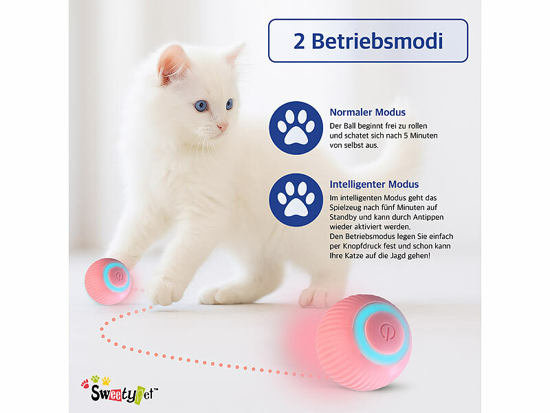; Strategie- und Intelligenzspiele für Hunde Strategie- und Intelligenzspiele für Hunde Strategie- und Intelligenzspiele für Hunde 